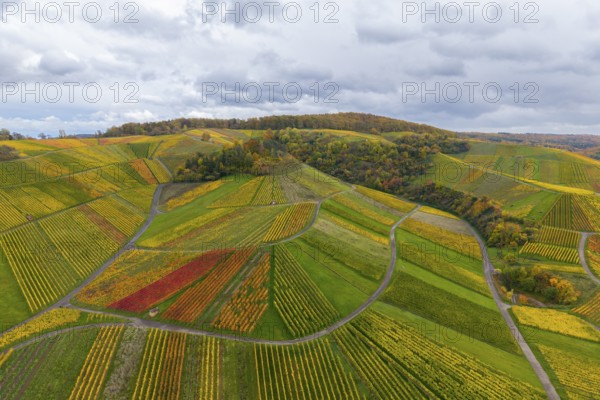 Vineyards in full autumn splendor under grey skies, near StrÃ¼mpfelbach im Remstal,