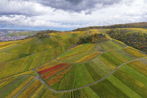 Autumn vineyards with colorful vines and cloudy sky, autumn, near StrÃ¼mpfelbach im Remstal,