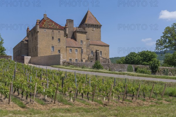 ChÃ¢teau de Pierreclos is a Romanesque castle complex in the French commune of Pierreclos in the