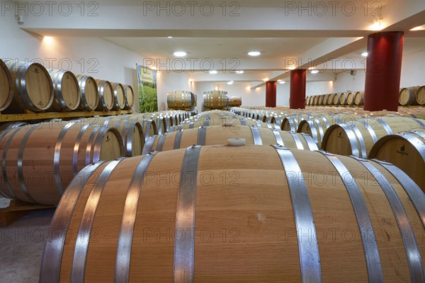 Long wine cellar with numerous wooden barrels and red columns, well lit, Papaioannou winery, Nemea