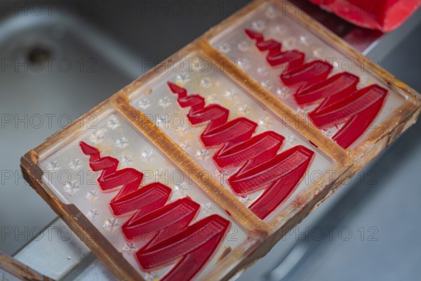 Red chocolate molds in a plastic tray, ready to make, Christmas baking, Haselstaller Hof, Wildberg,