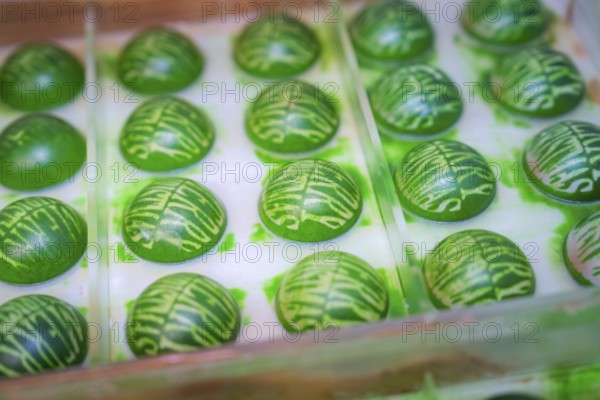 Green chocolate sweets with stripes in a chocolate mold, Christmas baking, Haselstaller Hof,
