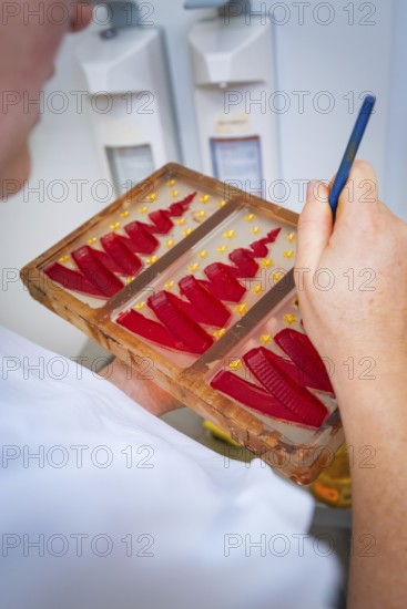 Someone paints red, decorative forms in a chocolate mold, Christmas baking, Haselstaller Hof,