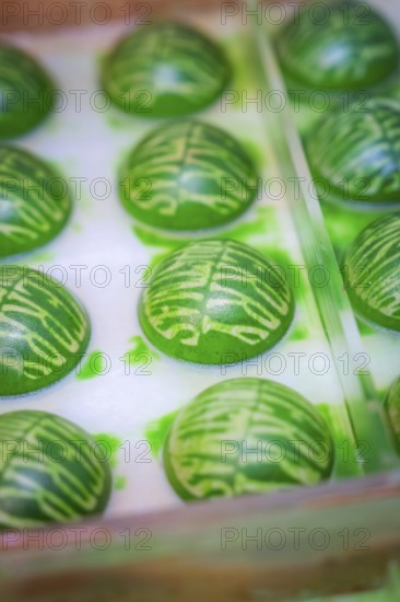 Green shaped chocolate balls with decorative pattern in a mold, Christmas baking, Haselstaller Hof,