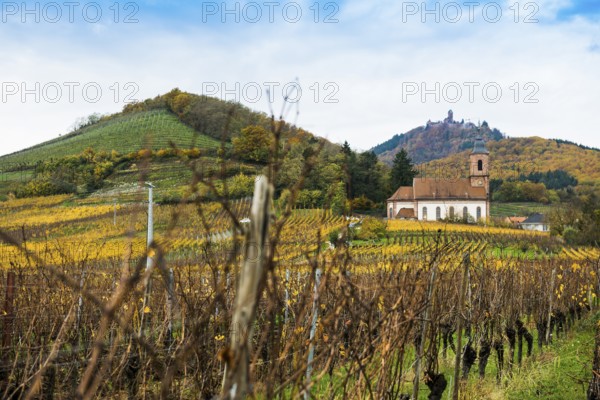 Chapel in the vineyards and castle ChÃ¢teau du Haut-KÅ“nigsbourg, Kintzheim, Bas-Rhin department,