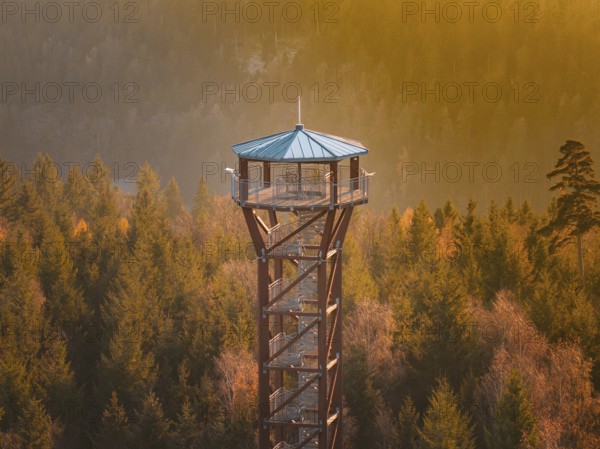 Observation tower surrounded by autumn trees in the soft light of sunset, Hohe Warte observation