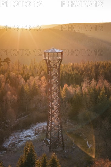 A sunrise casts golden light on an observation tower and forest, Hohe Warte observation tower,