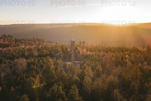 An observation tower is located in the dense, autumnal forest at sunrise, Hohe Warte observation