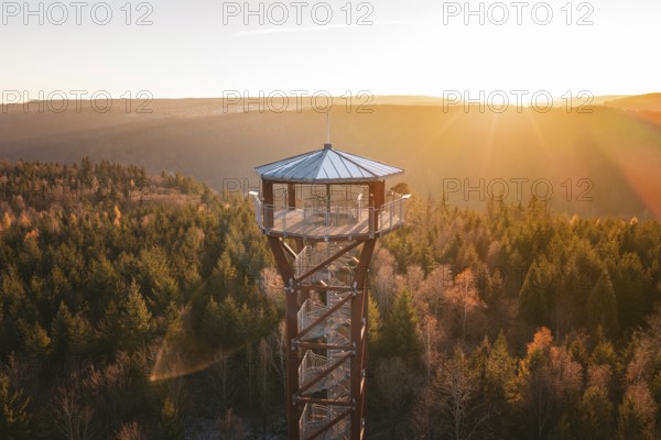 Upper part of an observation tower juts out of the surrounding forest in the light of sunset, Hohe