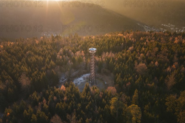 Observation tower at dusk, nestled in autumnal forests on a hill, Hohe Warte observation tower,
