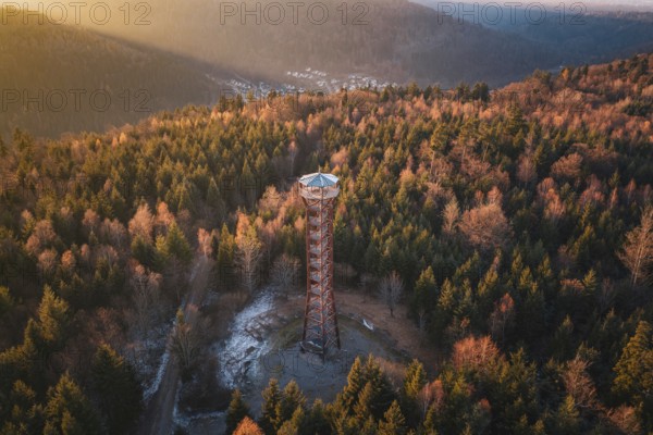 High observation tower in the middle of a thick, autumnal forest viewed from afar, Hohe Warte