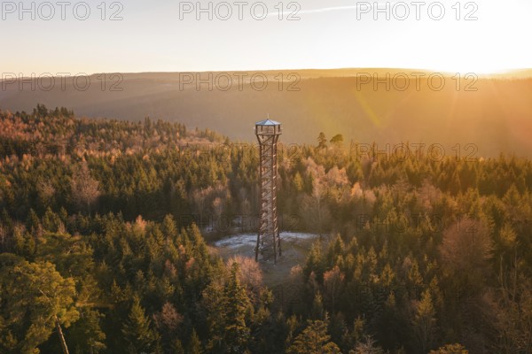 Observation tower overlooks a vast, autumnal forest under a gentle evening sky, Hohe Warte