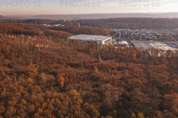 An extensive autumn forest with an industrial plant on the edge of the hill range, MÃ¼hlacker,