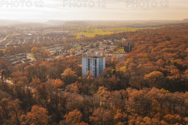 Residential area in the middle of a thick autumn forest with a tall building in the foreground,