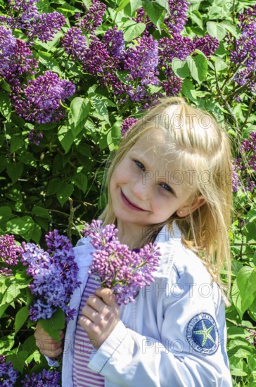 Little blonde 7-year-old girl stands surrounded by blooming lilacs and smiles at the camera in