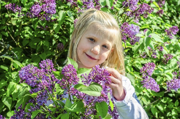 Little blonde 7-year-old girl stands surrounded by blooming lilacs and smiles at the camera in