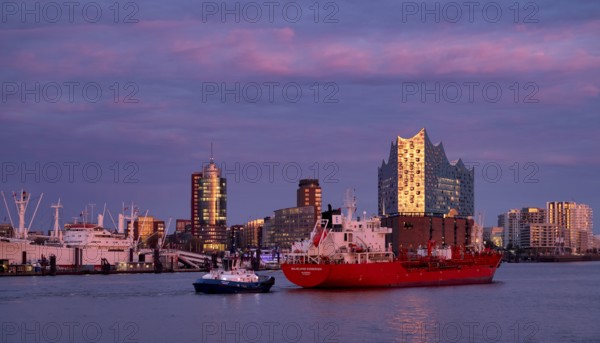 Trawler Wilhelmine Essberger, freight ship, sails across the Norderelbe in front of Elbe