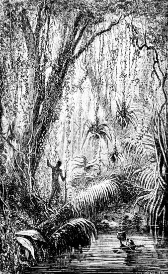 Indigenous and European researcher in the Brazilian jungle, river, inner tropics, tropical