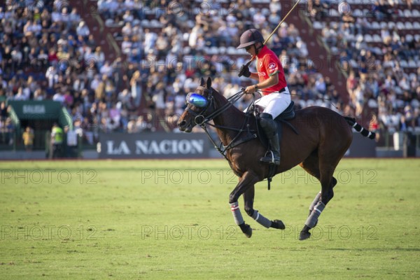 Polo player Francisco Elizalde from the La Irenita La Hache team at the 132nd Argentine Open Polo