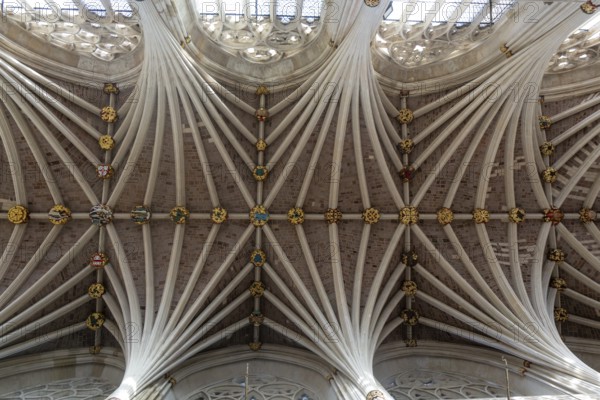 Looking up at vaulted ribbed ceiling inside Exeter cathedral church, Exeter, Devon, England, UK