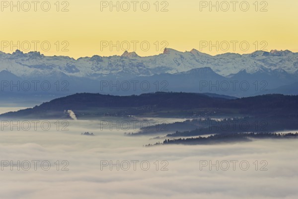 View from the Gisiflue over the sea of fog, with the snowy Central Swiss Alps with Mount Titlis in