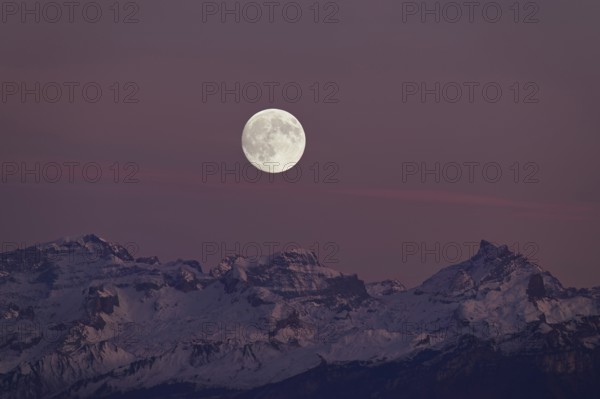 View from Horben of the snow-covered mountains from the left TÃ¶di, Chammliberg, SchÃ¤rhorn, in the