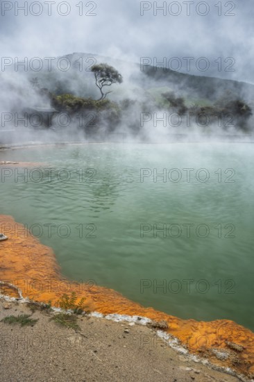 The champagne pool in the Waiotapu geothermal area (Wai-O-Tapu) . Waiotapu, Waikato, North Island,