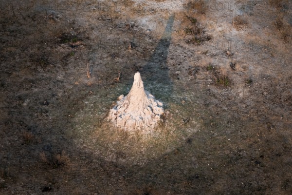 Single termite hill, landscape, aerial view of the Okavango Delta, near Maun, Okavango Delta,