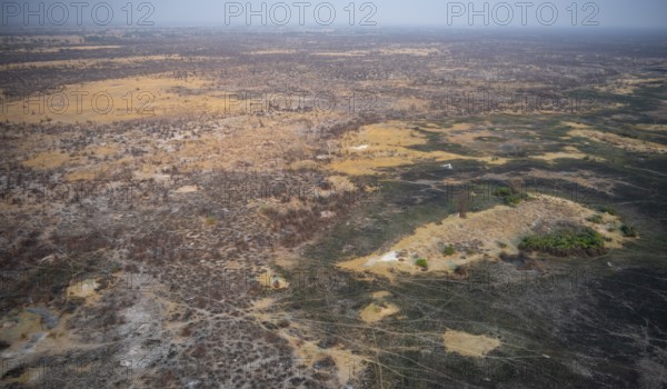 Dry season, structure and pattern of trails, burnt landscape, aerial view of the Okavango Delta,