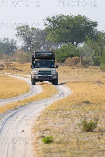 Off-road car, safari car driving on dust road, Third Bridge, Okavango Delta, Moremi Game Reserve,