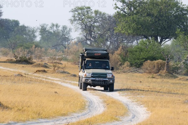 Off-road car, safari car driving on dust road, Third Bridge, Okavango Delta, Moremi Game Reserve,