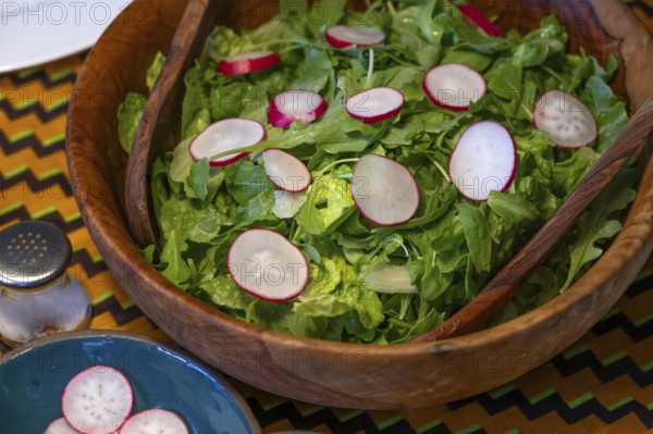 Mixed green salad with radishes in a wooden salad bowl, Mecklenburg-Vorpommern, Germany