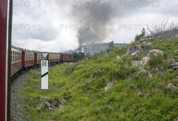 Steaming locomotive of the historic Brocken Railway with several red and white wagons travels from