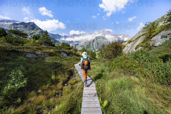 Mountaineers on wooden plank trail through mountain moor, in front of picturesque mountain scenery,