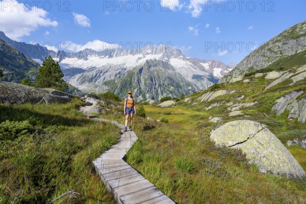 Female mountaineer on wooden plank path through mountain moor, in front of picturesque mountain