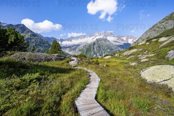 Wooden plank trail through mountain moor, in front of picturesque mountain scenery, Dammastock and