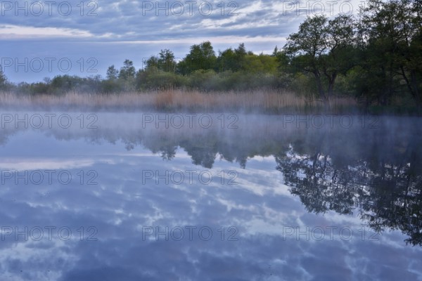 Morning fog over a lake with reeds and cloudy sky, quiet atmosphere, Peenetal nature park Park,