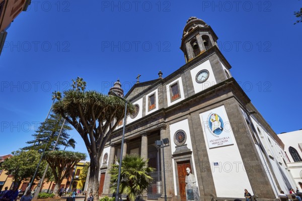 Nuestra Senora de los Remedios Cathedral, large church with decoration and plants against a bright