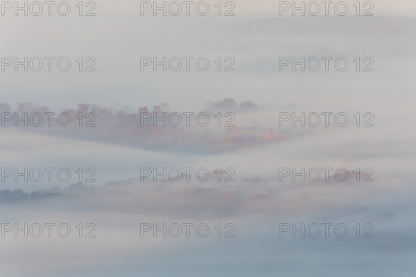 Idyllic atmosphere with orange treetops in morning fog, autumn forest in the golden light of