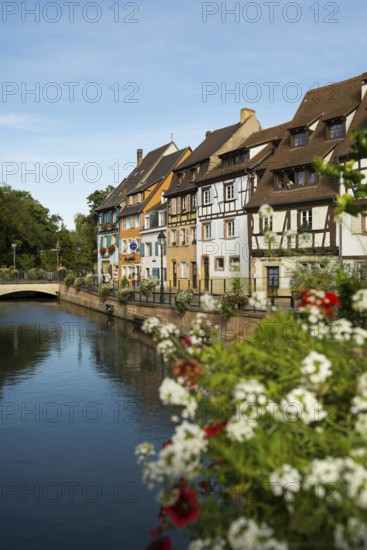 Half-timbered houses on the river, La Petite Venise, Krutenau district, Old Town, Colmar, Alsace,
