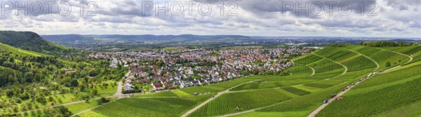 Panoramic view of a village with extensive green vineyards in the foreground, near Korb im Remstal,