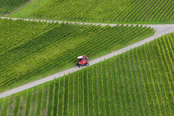 A grape harvester on a road during the grape grape harvest, near Korb im Remstal,