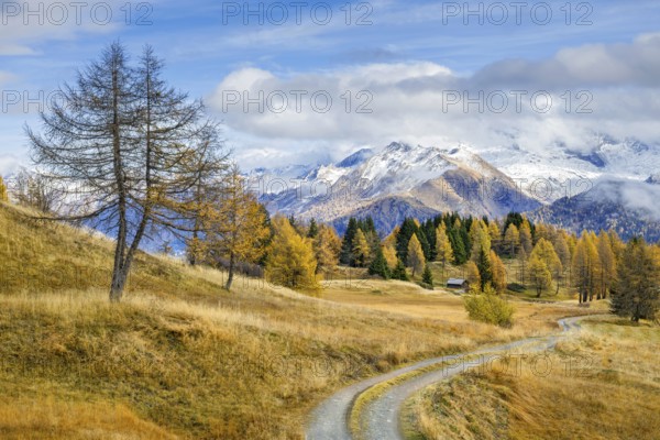 Autumnal larch meadows, behind Olperer, FuÃŸstein, Schrammacher, Sagwandspitze, Vinaders, Tyrol,