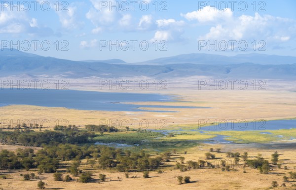 View of savanna landscape and lakes in the Ngorongoro Crater from the crater rim in the evening