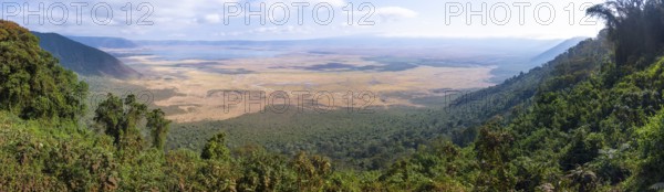 Panorama, view of Ngorongoro Crater, Crater Viewpoint, forest and savanna landscape, Ngorongoro