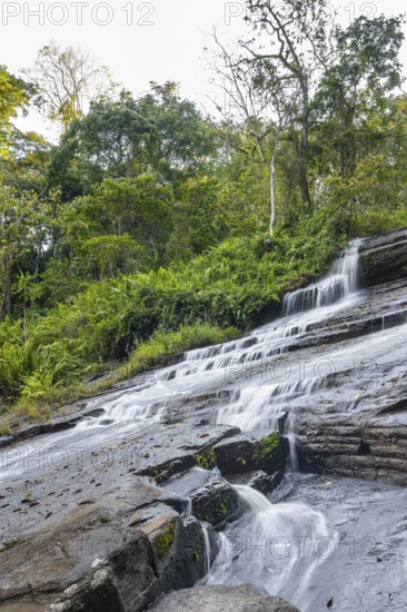 Derema Waterfall flows through thick vegetation, tropical rainforest in Amani Nature Forest