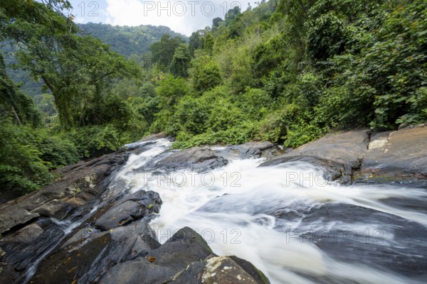 Waterfall flows through thick vegetation, tropical rainforest in Amani Nature Forest Reserve, long