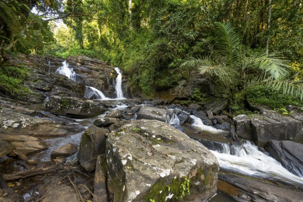 Derema Waterfall flows through thick vegetation, tropical rainforest in Amani Nature Forest