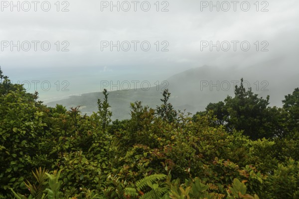 Distant tropical view from Mount Sorrow across valley and bay to where the Great Barrier Reef meets