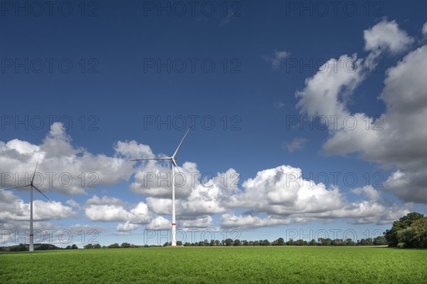 Wind turbines in a meadow, cluster clouds (Cumulus), Mecklenburg-Western Pomerania, Germany